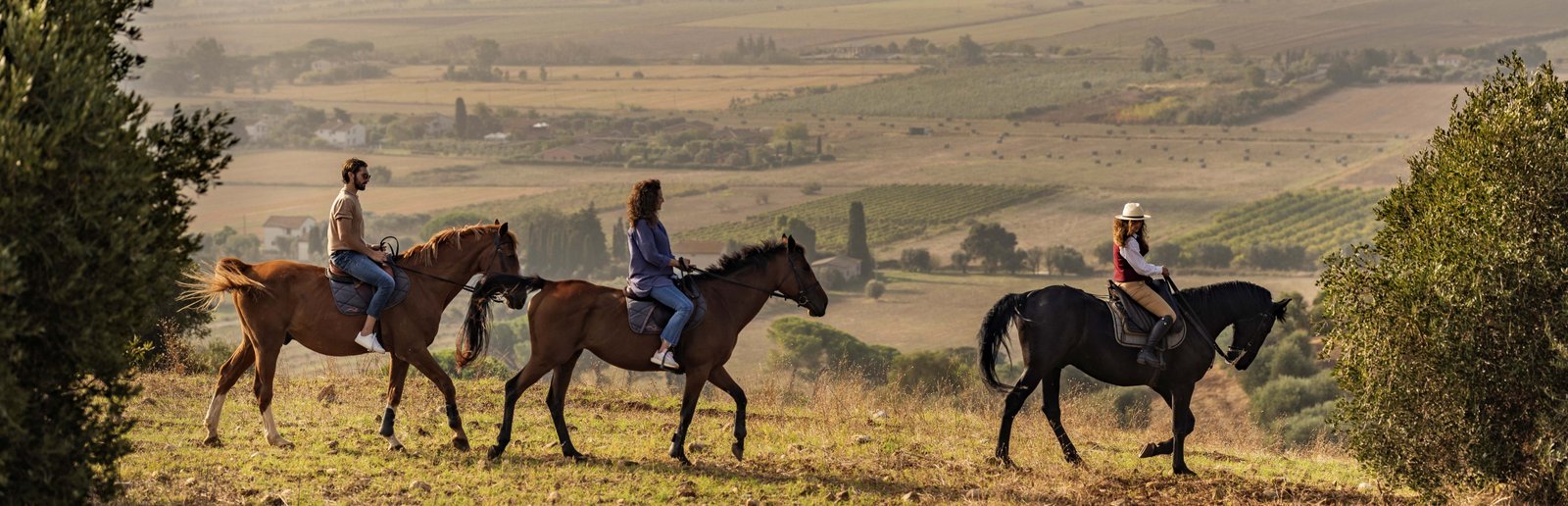 Horseback Riding Tour